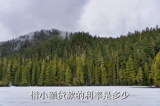 借小额贷款的利率是多少
