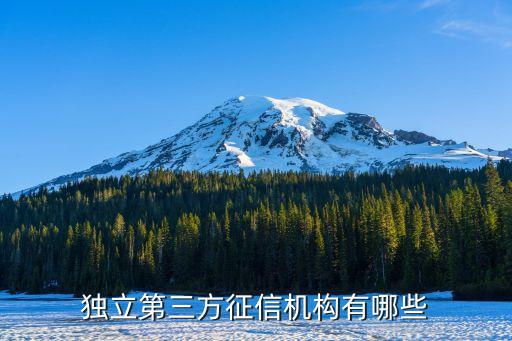 独立第三方征信机构有哪些
