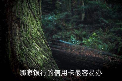 哪家银行的信用卡最容易办