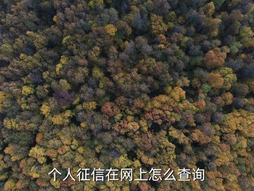 个人征信在网上怎么查询