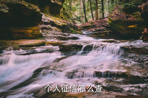 个人征信怎么查