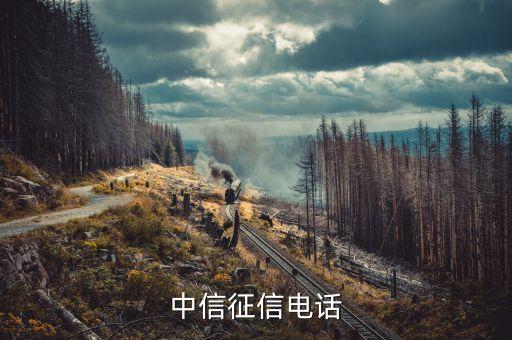 中信征信电话