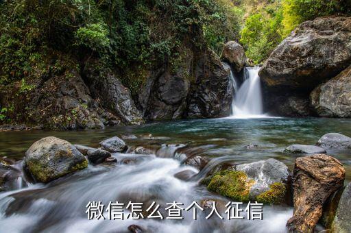 现在微信可以查询征信了，微信怎么查个人征信