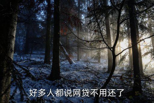 好多人都说网贷不用还了