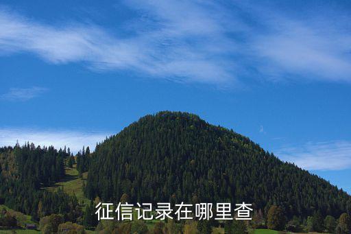 征信记录在哪里查