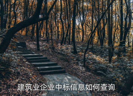 建筑业企业中标信息如何查询