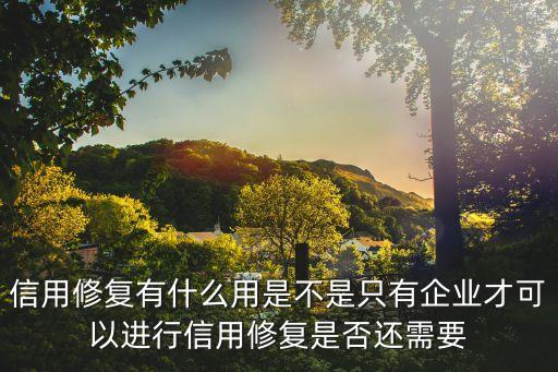 信用修复有什么用是不是只有企业才可以进行信用修复是否还需要