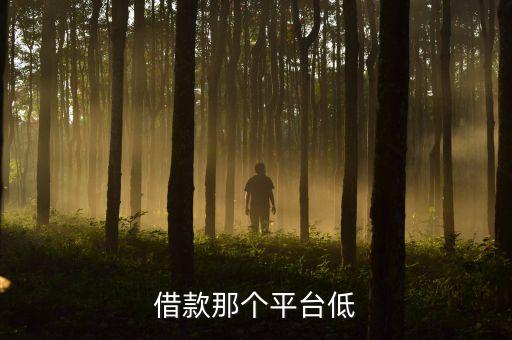 哪个平台贷款便宜，哪个app贷款便宜点