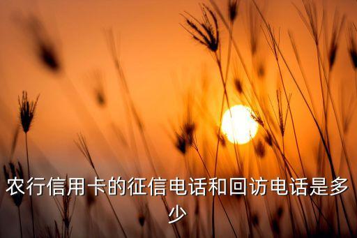 农行信用卡的征信电话和回访电话是多少