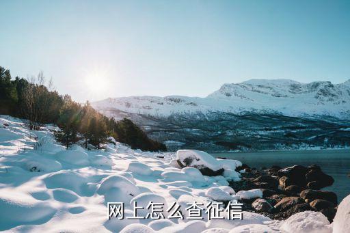 网上怎么查征信