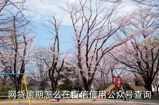 怎么查自己那里有逾期公众号，怎么在百信信用公众号里面查我的网贷逾期