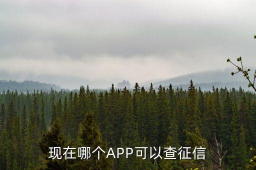 现在哪个APP可以查征信