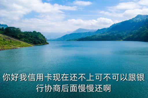 你好我信用卡现在还不上可不可以跟银行协商后面慢慢还啊