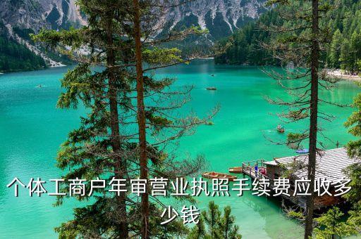 个体工商户年审营业执照手续费应收多少钱