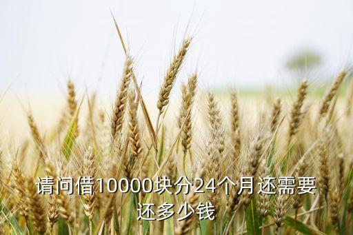 请问借10000块分24个月还需要还多少钱