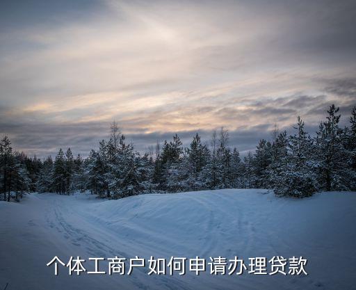 个体户营业执照怎么办理贷款，个体户怎么办贷款