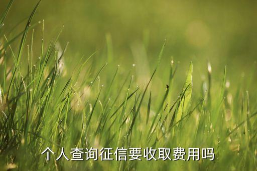 个人查询征信要收取费用吗