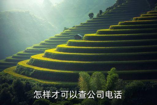 怎样才可以查公司电话