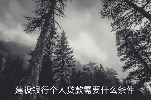 建设银行个人贷款需要什么条件
