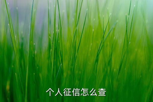 个人征信怎么查