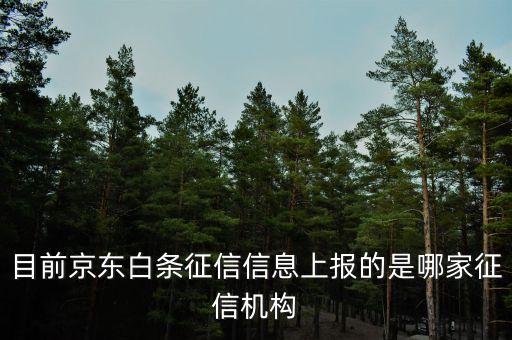 征信公司是什么公司，人民银行征信中心是个什么机构