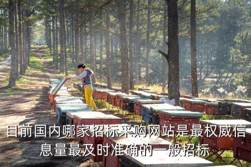 全国企业招投标网，请问工程招标在哪个网可以查
