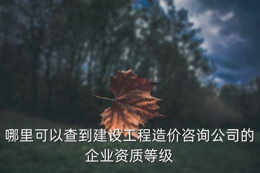 哪里可以查到建设工程造价咨询公司的企业资质等级