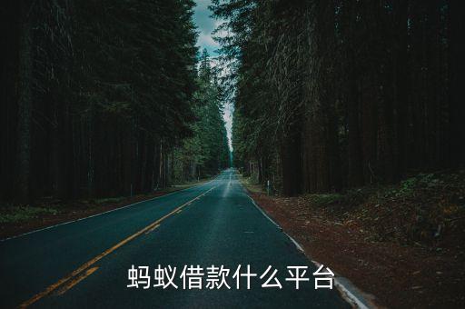 蚂蚁借款什么平台