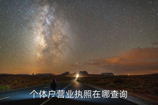 个体户营业执照在哪查询