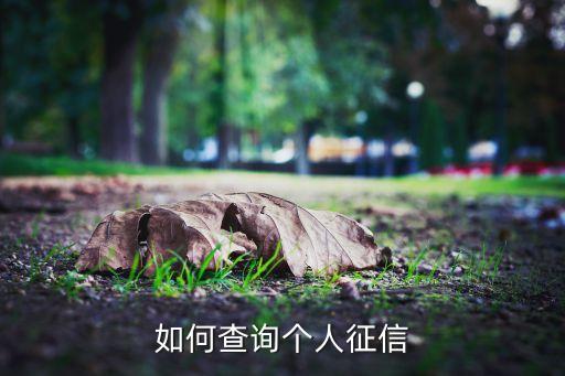 如何查询个人征信