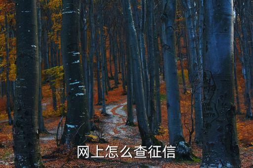 怎么查查征信的记录，个人征信记录怎么查询