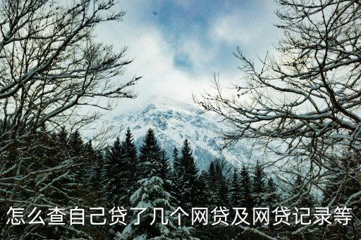 怎么查自己贷了几个网贷及网贷记录等