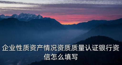 企业性质资产情况资质质量认证银行资信怎么填写
