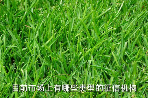 目前市场上有哪些类型的征信机构
