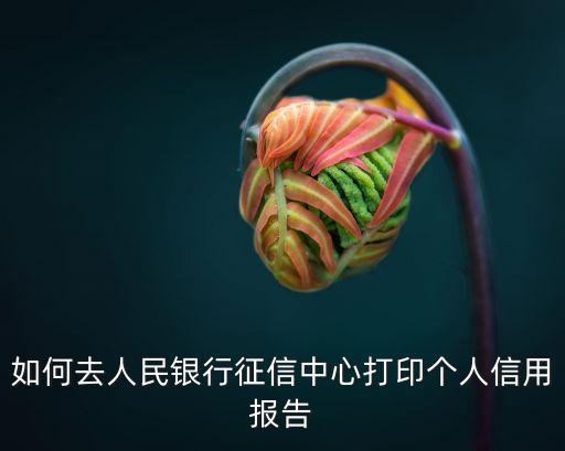 如何去人民银行征信中心打印个人信用报告
