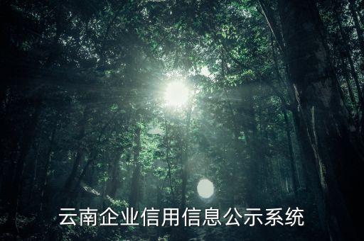 云南企业信用信息公示系统