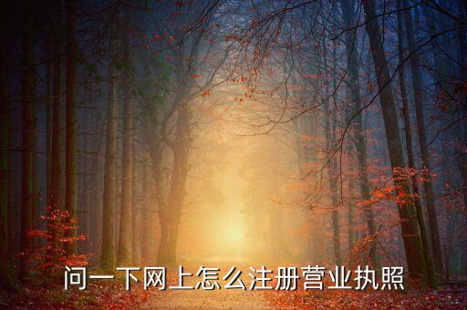 问一下网上怎么注册营业执照