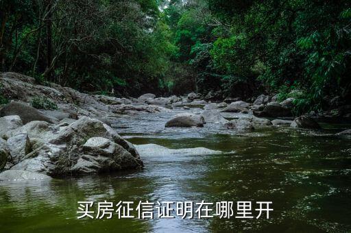 买房征信证明在哪里开