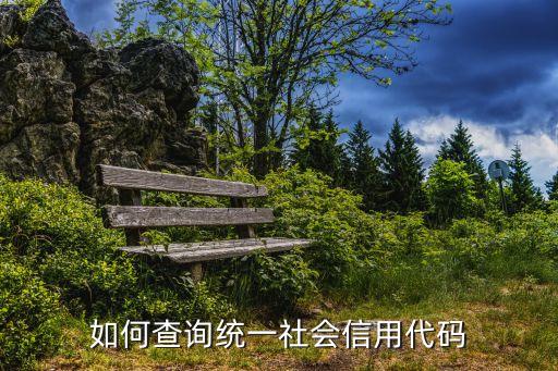 如何查询统一社会信用代码