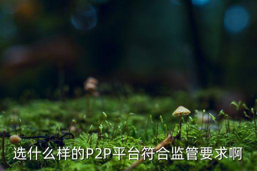 选什么样的P2P平台符合监管要求啊
