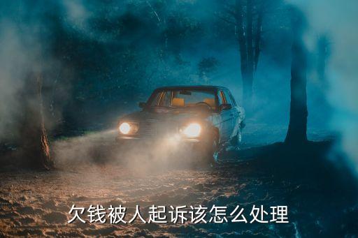 欠钱被对方起诉了要怎么处理好，欠别人钱被别人起诉了要怎么挽救