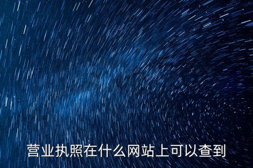 营业执照在什么网站上可以查到