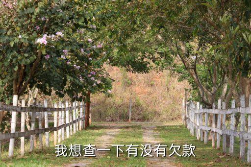 我想查一下有没有欠款