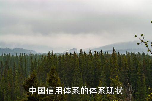 中国信用体系的体系现状