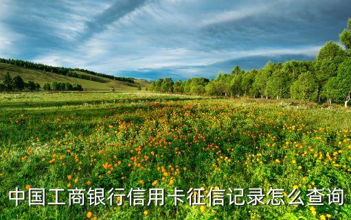 中国工商银行信用卡征信记录怎么查询