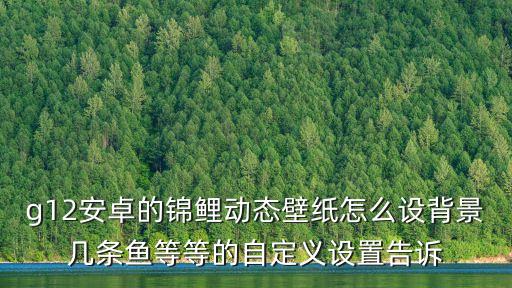 g12安卓的锦鲤动态壁纸怎么设背景几条鱼等等的自定义设置告诉