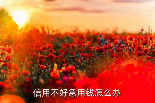 信用不好急用钱怎么办