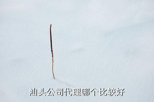 汕头公司代理哪个比较好
