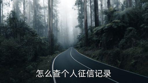 怎么查个人征信记录