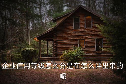 企业信用等级怎么分是在怎么评出来的呢